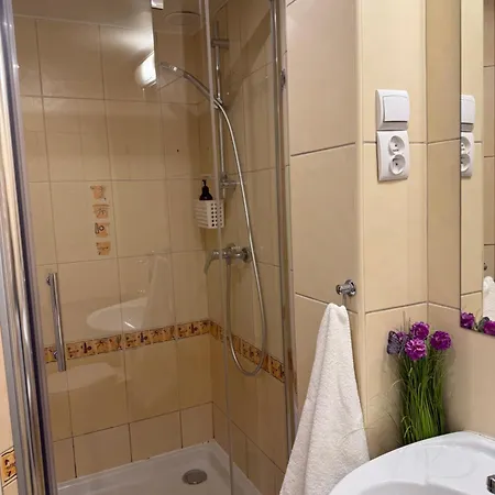 Apartment Nasze Kamienice Muzyczny Z Antresola Rzeszow